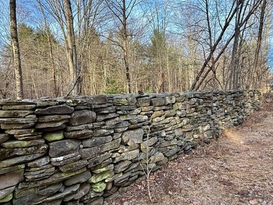 Located in the Town of Wawarsing, this 23.1-acre property offers - photo 9