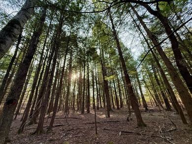 Located in the Town of Wawarsing, this 23.1-acre property offers - photo 10
