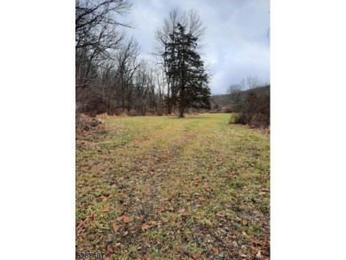 Paulinskill Lake Acreage For Sale in Hampton Twp. New Jersey