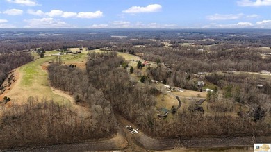 Turnkey lakefront opportunity on Barren River Lake! This fully - photo 41