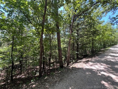 Ready to invest or develop? This 7.67-acre tract on the edge of - photo 4