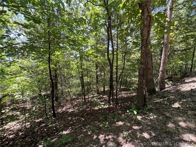 Ready to invest or develop? This 7.67-acre tract on the edge of - photo 9