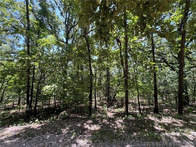 Ready to invest or develop? This 7.67-acre tract on the edge of - photo 10