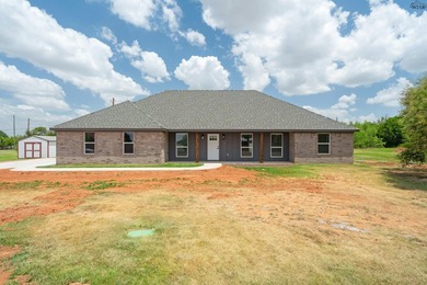 Incredible new construction home in desirable Holliday ISD! This - photo 1
