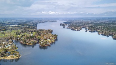 Owner has to sell price reduced $60,000.00. Stunning Lakefront - photo 5