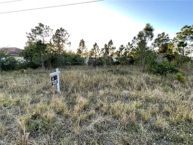 Lehigh Acres Area Lot For Sale in Lehigh Acres Florida