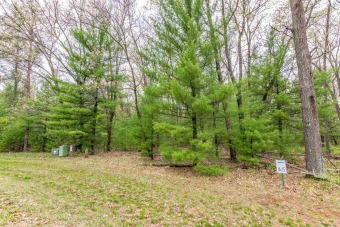 Lake Lot For Sale in Friendship, Wisconsin