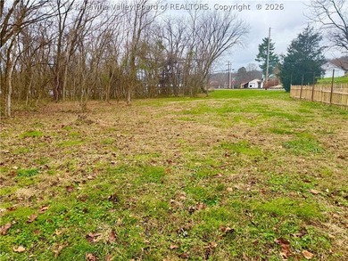 Rare opportunity to own a riverfront lot on the Ohio River with - photo 5