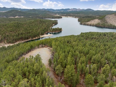 Sheridan Lake Acreage For Sale in Rapid City South Dakota