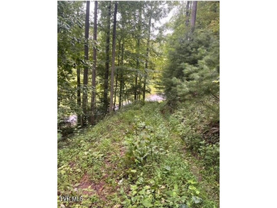 Beautiful lake property overlooking Watauga Lake. If you like - photo 2