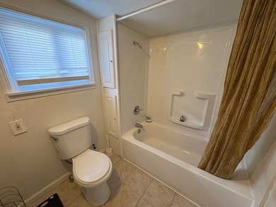 Another Rockin' Rochester Property! This move-in-ready ranch has - photo 14