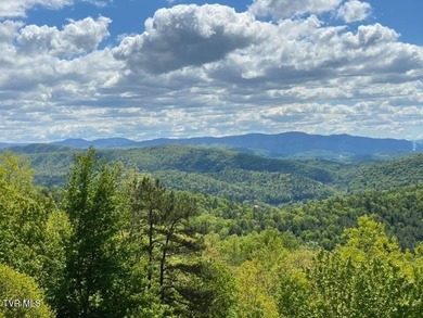 Beautiful lake property overlooking Watauga Lake. If you like - photo 4