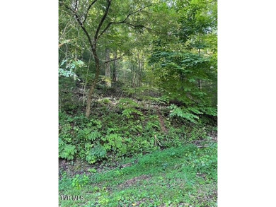 Beautiful lake property overlooking Watauga Lake. If you like - photo 5