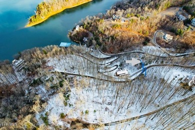 Beautiful lake property overlooking Watauga Lake. If you like - photo 8
