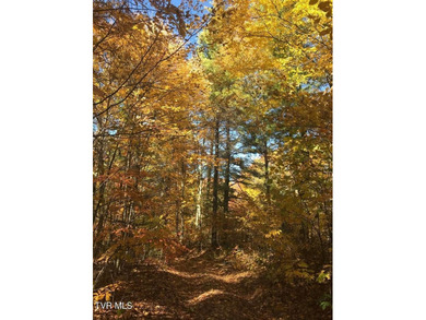 Beautiful lake property overlooking Watauga Lake. If you like - photo 10