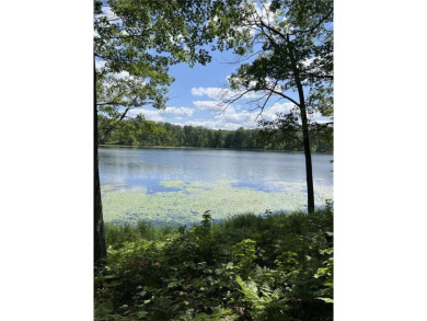  Acreage For Sale in Shell Lake Wisconsin