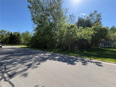 Another Rockin' Rochester Property! This move-in-ready ranch has - photo 30