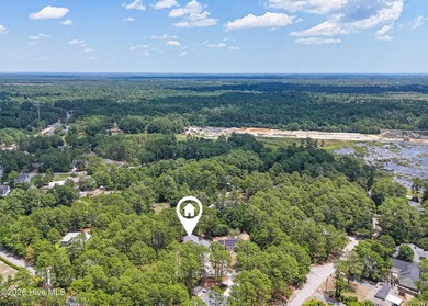 Welcome to your serene retreat in Boiling Spring Lakes! This - photo 41