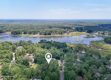 Welcome to your serene retreat in Boiling Spring Lakes! This - photo 43