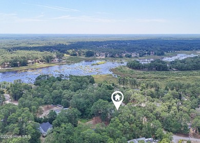 Welcome to your serene retreat in Boiling Spring Lakes! This - photo 44