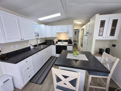 Charming Renovated 1986 DRE Mobile Home in , Largo This - photo 4