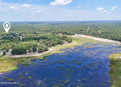 Welcome to your serene retreat in Boiling Spring Lakes! This - photo 49
