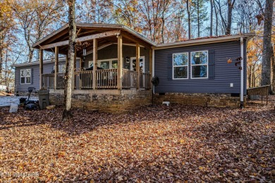 Lake Home For Sale in Delano, Tennessee