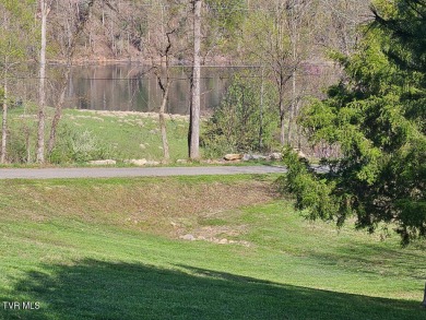 Lake Lot For Sale in Butler, Tennessee