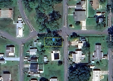 Lake Lizzie Lot For Sale in ST Cloud Florida