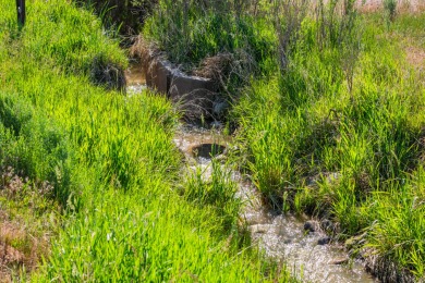 Development, water rights, production, and a substantial option - photo 12
