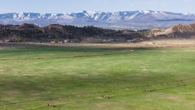 Development, water rights, production, and a substantial option - photo 16
