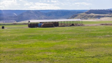 Development, water rights, production, and a substantial option - photo 25