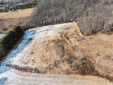 (private lake, pond, creek) Acreage For Sale in Chandlersville Ohio