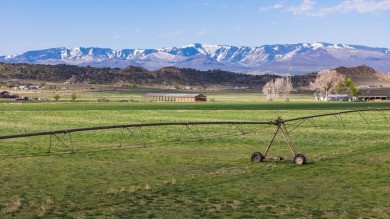 Development, water rights, production, and a substantial option - photo 31
