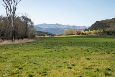 Development, water rights, production, and a substantial option - photo 36
