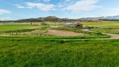 Development, water rights, production, and a substantial option - photo 38