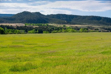 Development, water rights, production, and a substantial option - photo 40