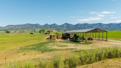 Development, water rights, production, and a substantial option - photo 41