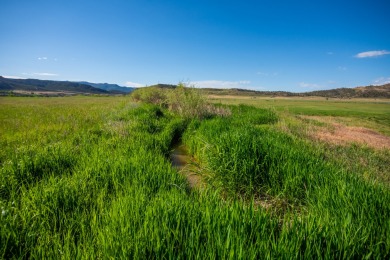 Development, water rights, production, and a substantial option - photo 42