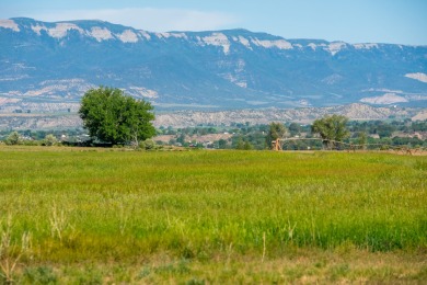 Development, water rights, production, and a substantial option - photo 43