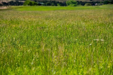 Development, water rights, production, and a substantial option - photo 44