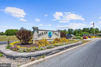 Buyer Contract fell Thru 11 Burr Drive, is a meticulously - photo 49