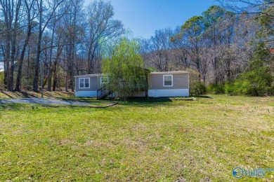 Lake Home For Sale in Grant, Alabama