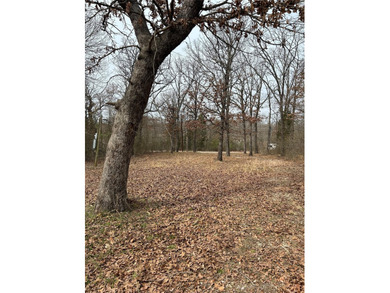 With 0.5 acres of land, this property offers ample space to - photo 5