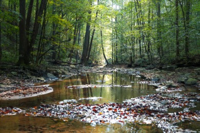 Dale Hollow Lake Home For Sale in Monroe Tennessee