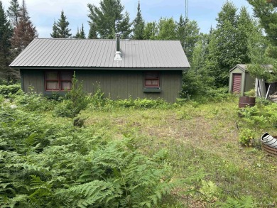 Lake Home For Sale in Amasa, Michigan