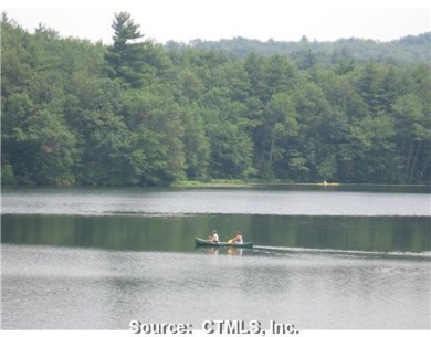 Welcome to Lake Manitook! - photo 2