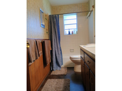 Ski Lake Brick Home Offered As A Package SOLD - photo 19