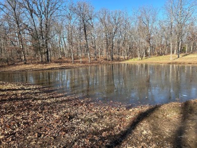 Lake Acreage For Sale in Dadeville, Missouri