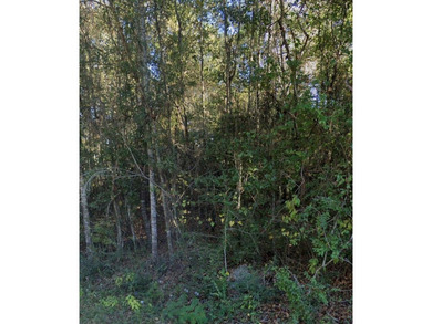 Lake Lot For Sale in Carriere, Mississippi